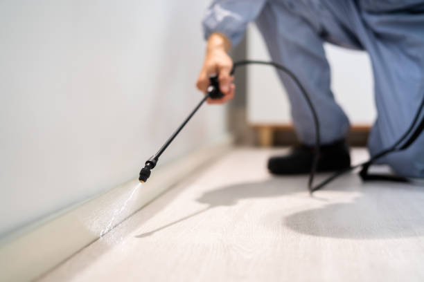 Licensed Exterminator service in Spanaway, WA - Show Me Pest Control