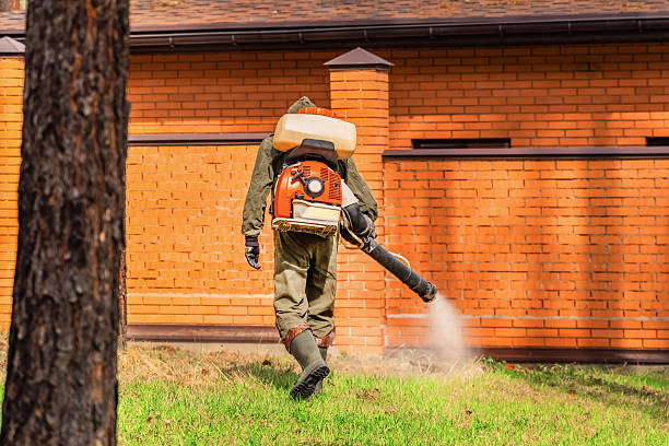 Top rated local Mosquito Control specialists in Spanaway, WA